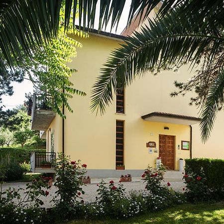 Il Girasole Bed & Breakfast Basciano Exterior photo