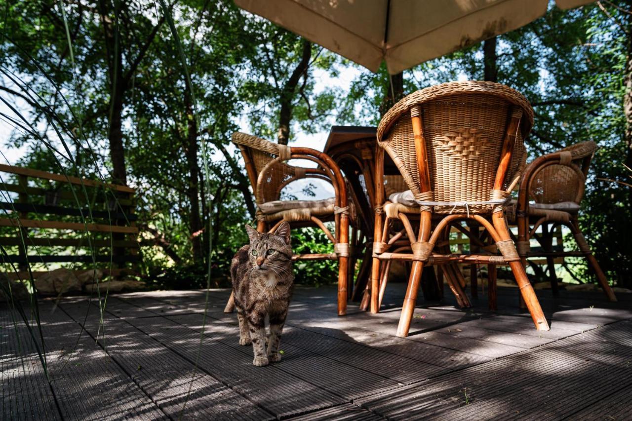 Il Girasole Bed & Breakfast Basciano Exterior photo