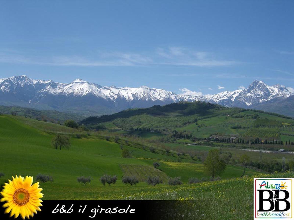 Il Girasole Bed & Breakfast Basciano Exterior photo